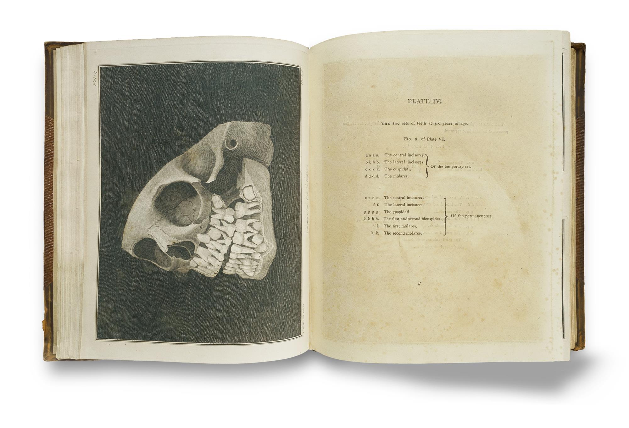 Three Volumes on the History of Teeth: Charles Allen (1687 Reprint) and Jos